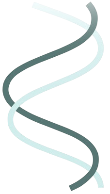 spiralaalb-removebg-preview
